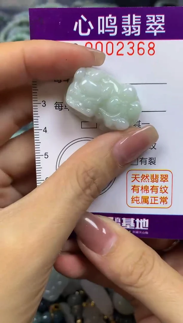 翡翠未镶嵌颈饰闪购002368