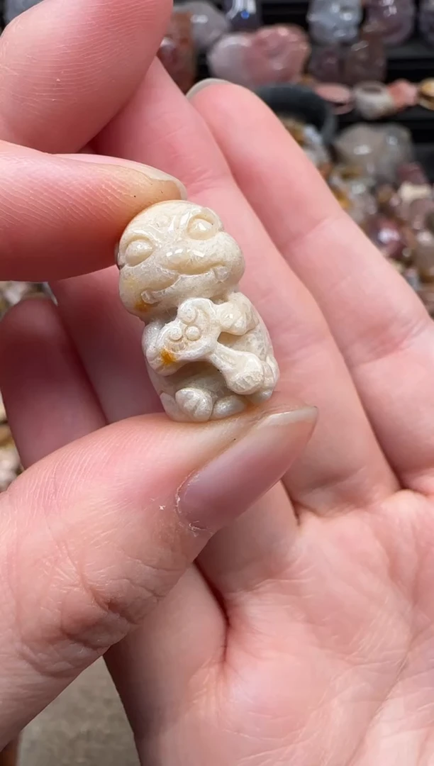 颈饰未镶嵌硅化珊瑚（珊瑚玉）011