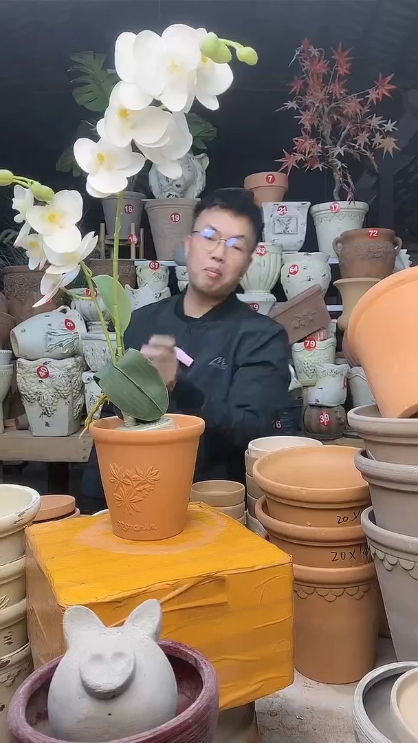 【闪购商品】缸1个13*13红陶香草无托无托