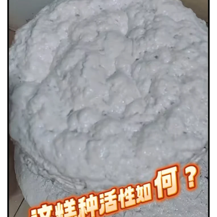 传统发糕糕种制做视频教学