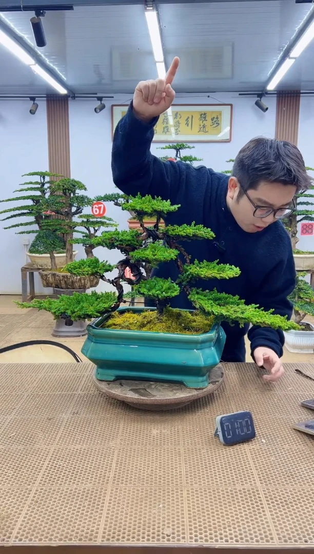 无花朵00000000000000