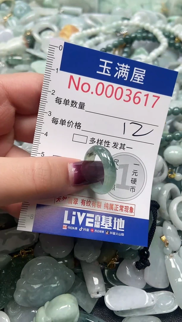 颈饰未镶嵌翡翠3617