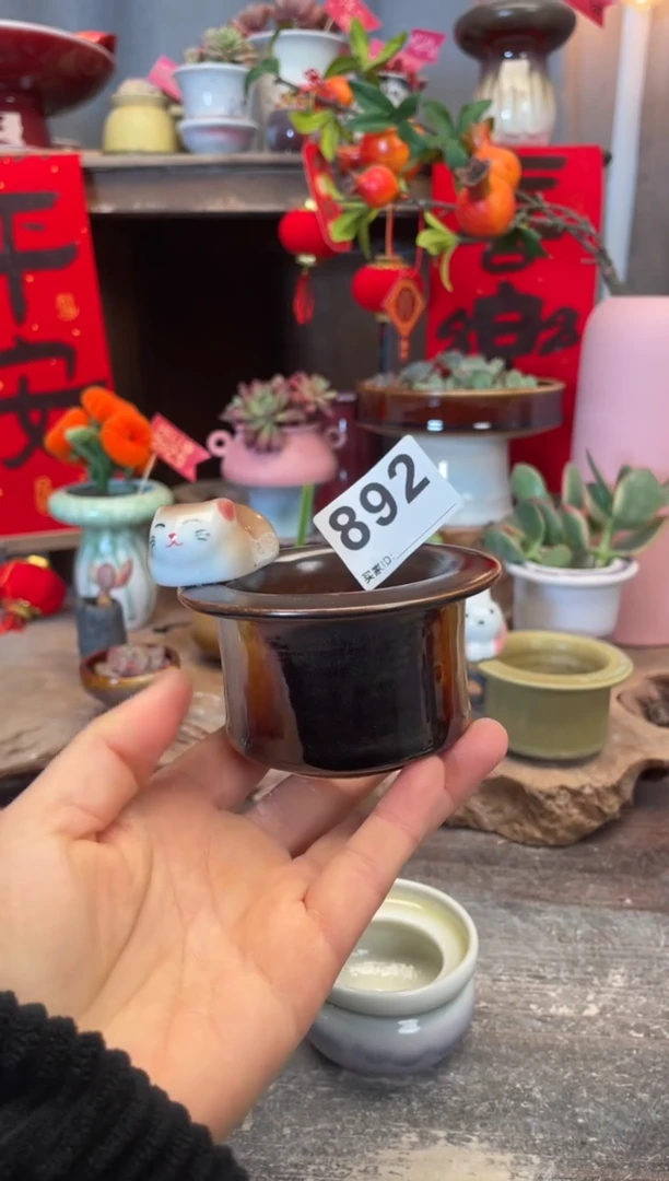 【闪购商品】摆件892知木小芳花盆