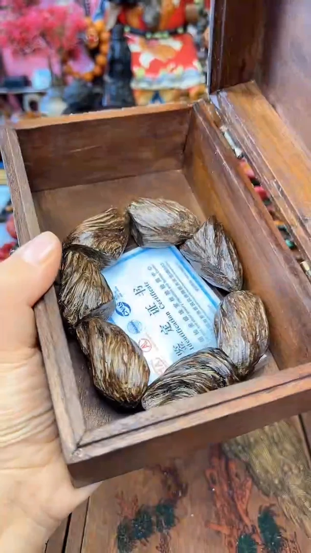 【闪购商品】木中之❤王妍妍批发编号104-虫漏单木盒