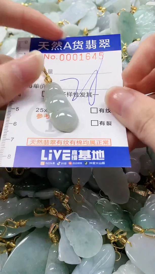 颈饰未镶嵌翡翠纯天然a货翡翠