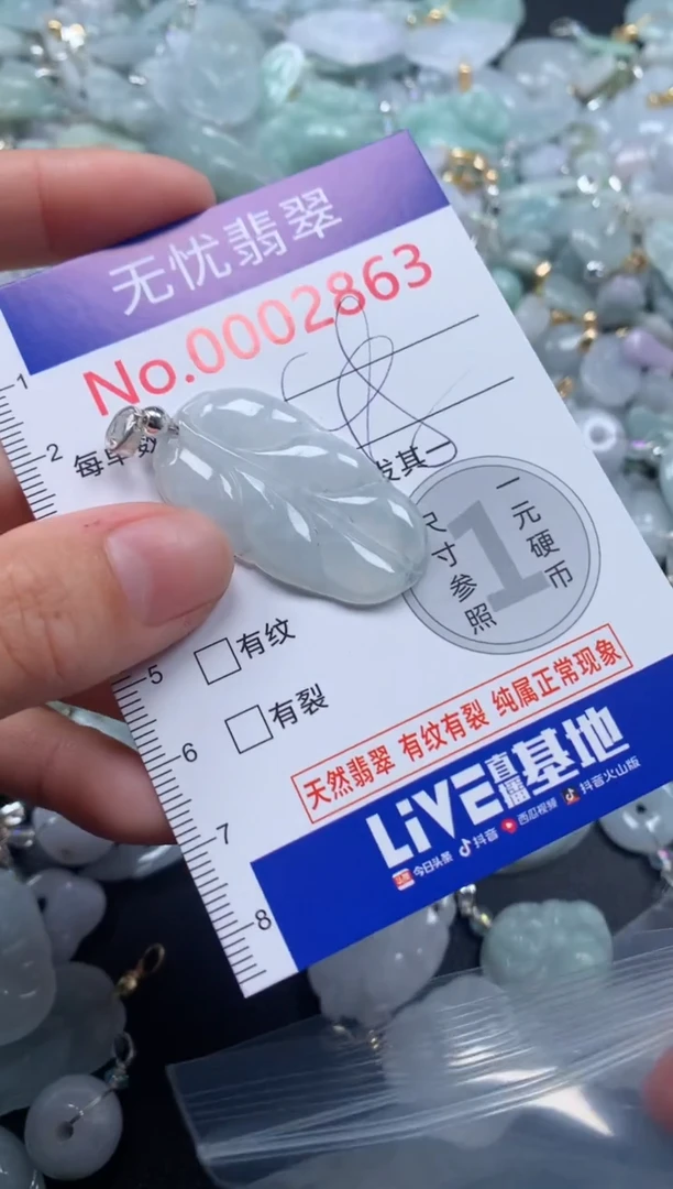 颈饰未镶嵌翡翠2863