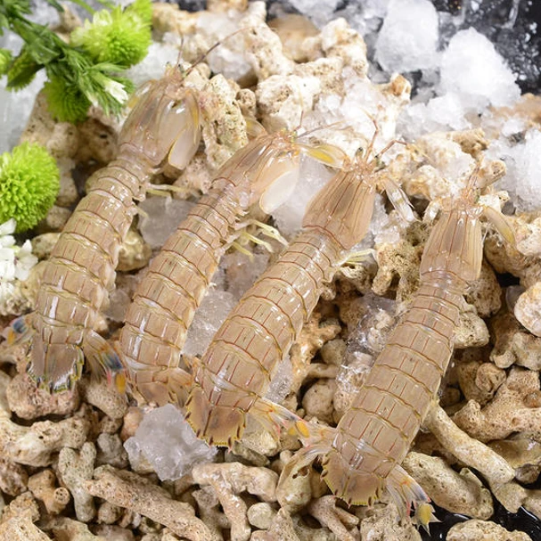 鲜活皮皮虾（捞出鲜活离水缺氧易死介意慎拍）