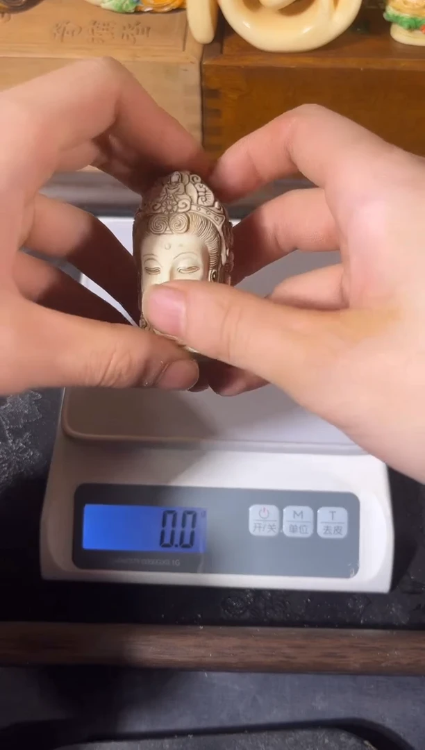 黄杨木11111111111