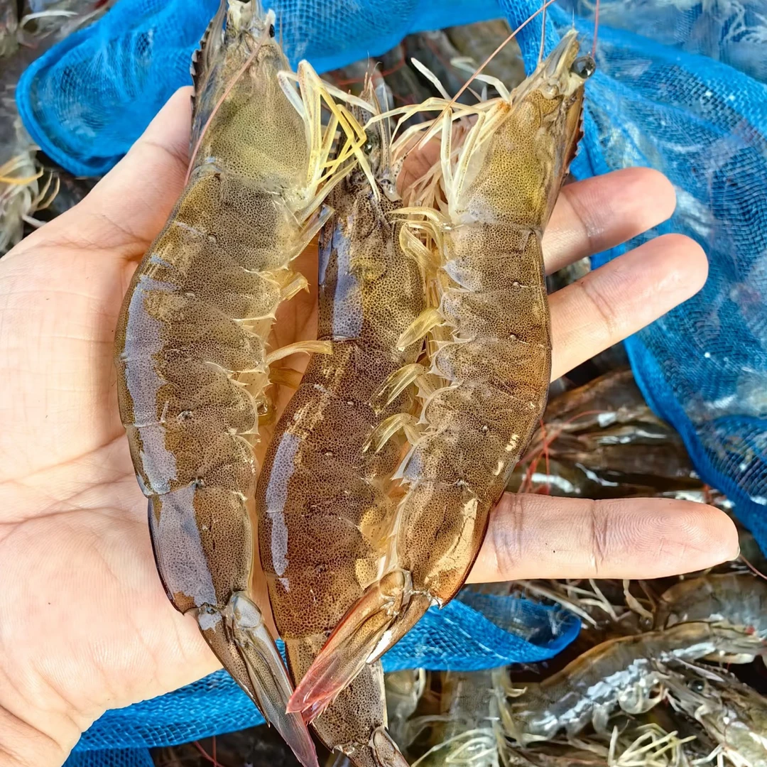 【直播活动专享】鲜活基围虾 手挑活虾 （可自提/配送到家）