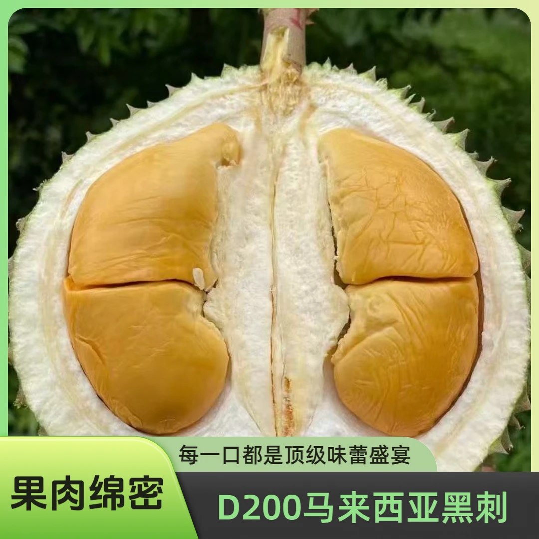 【小老虎专属】A果马来西亚进口液氮黑刺榴莲冷冻榴莲D200