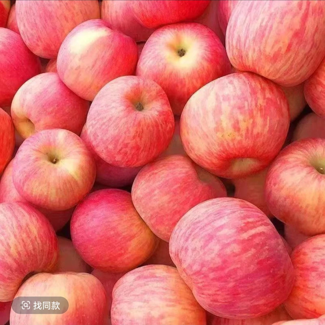 【兵哥助农专属】正宗烟台红富士脆甜多汁产地直发山东苹果烟台苹果