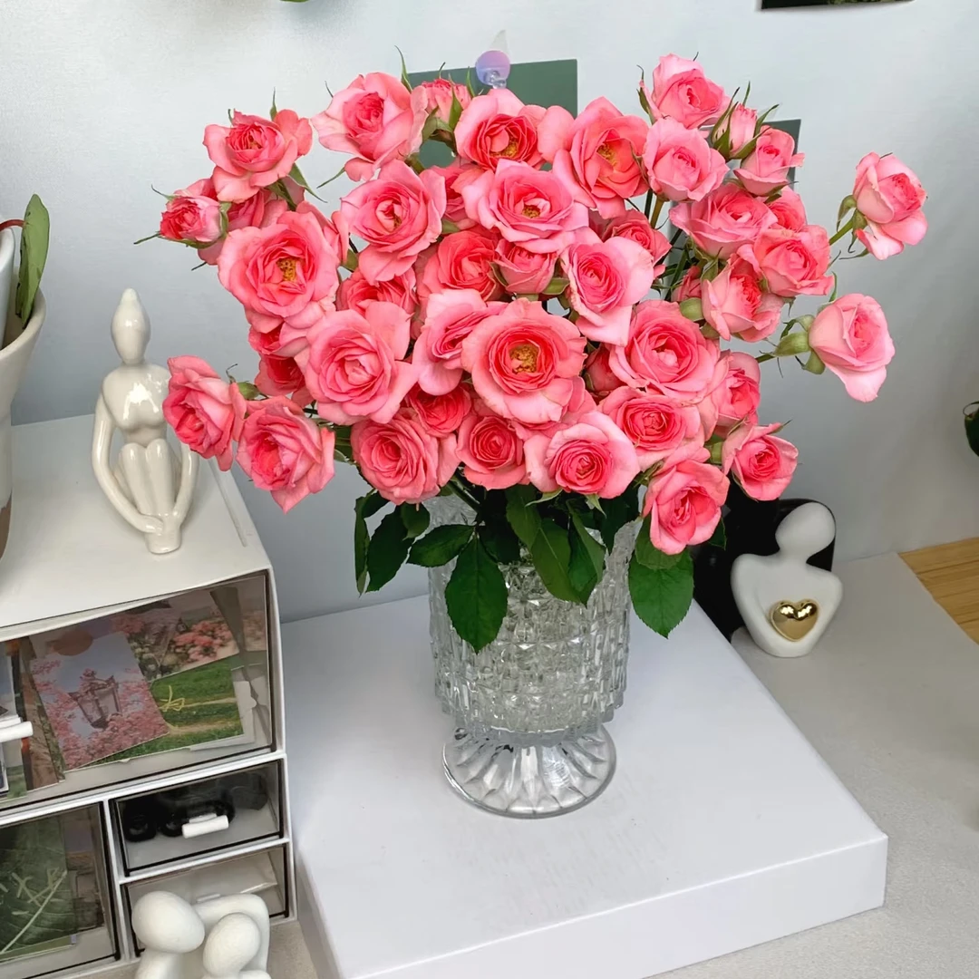【高雅恋人多头玫瑰5枝】福建，广东，江浙沪皖，河北，山东，天津，北京鲜花专场，两单升级顺丰京东，今天拍明天到。