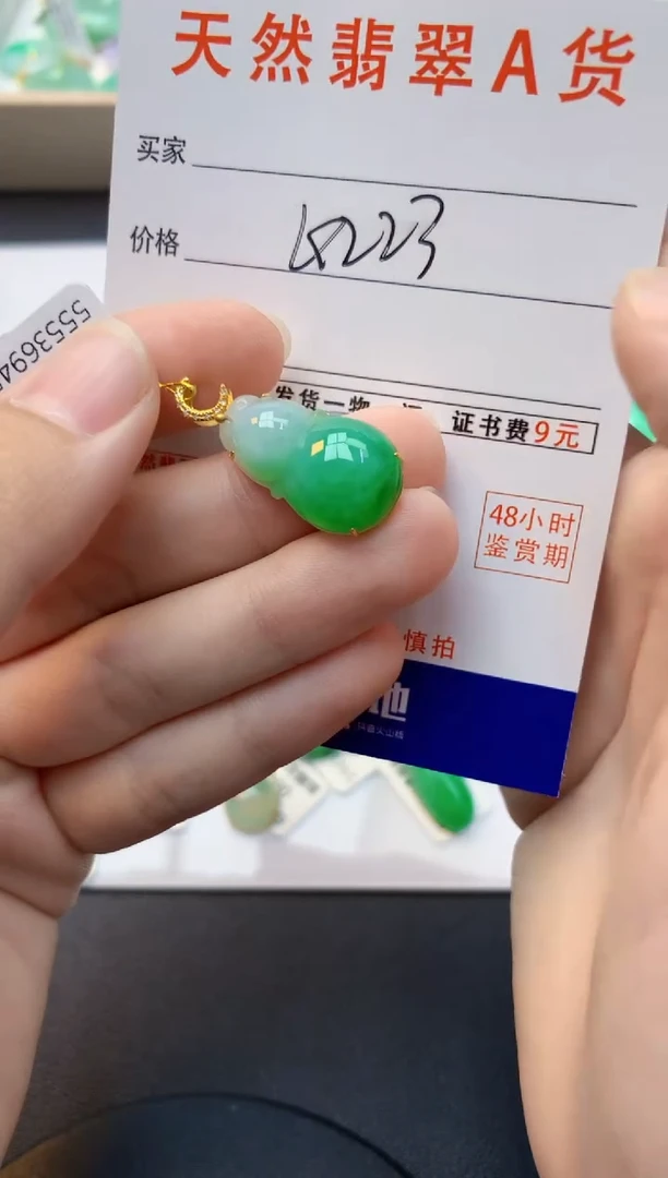 颈饰18K金镶嵌翡翠天然缅甸A货翡翠百元以上9元证书费自理