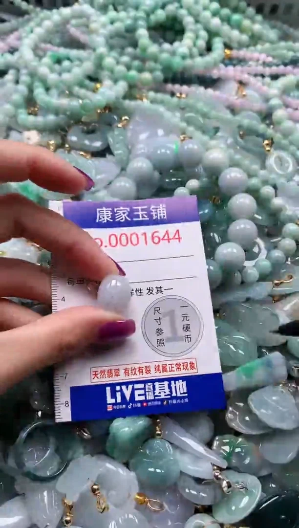 颈饰未镶嵌翡翠1644
