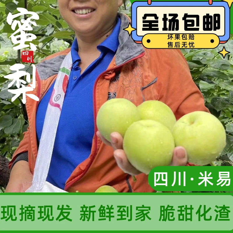 正宗四川蜜梨香梨香甜多汁产地直发现摘当季新鲜水果包邮细腻化渣