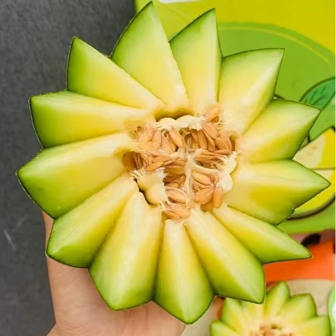 林氏网文甜瓜 2个果/4-4.5斤 【宇哥果业】