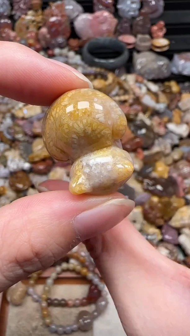 颈饰未镶嵌硅化珊瑚（珊瑚玉）156