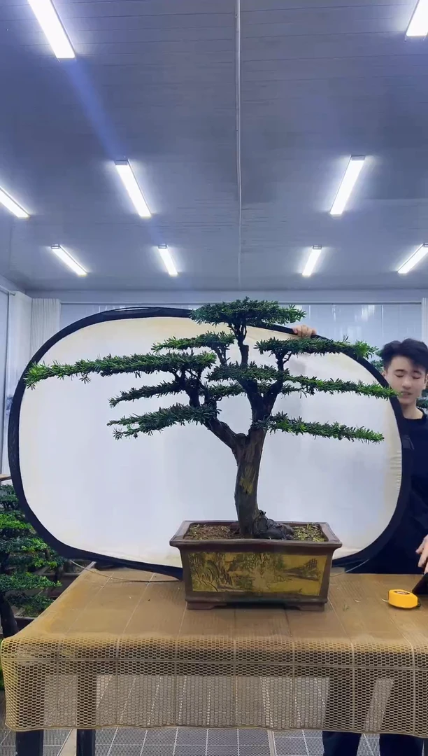 爱***草不包邮000000000000000