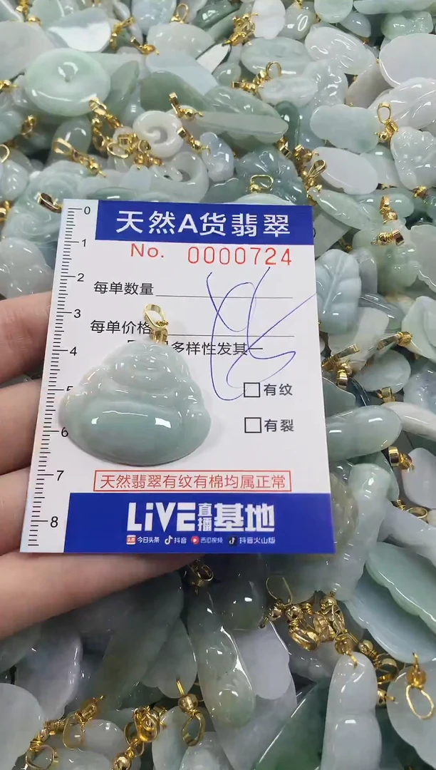 颈饰未镶嵌翡翠天然a货翡翠