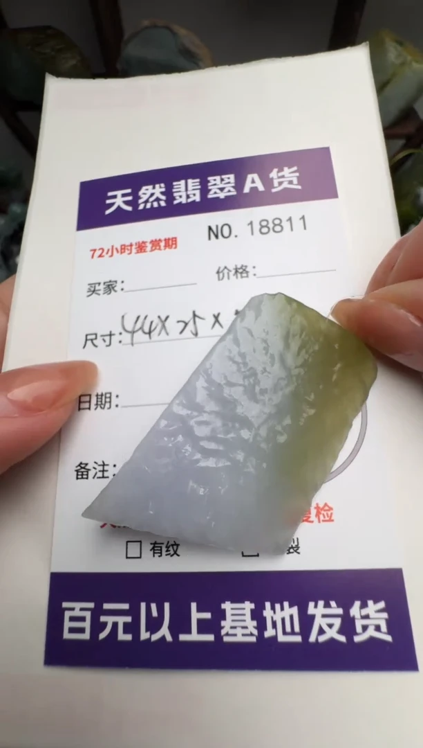 翡翠未镶嵌颈饰原石18811