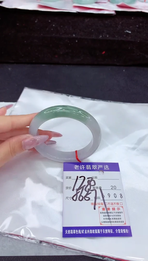 未镶嵌手镯翡翠1