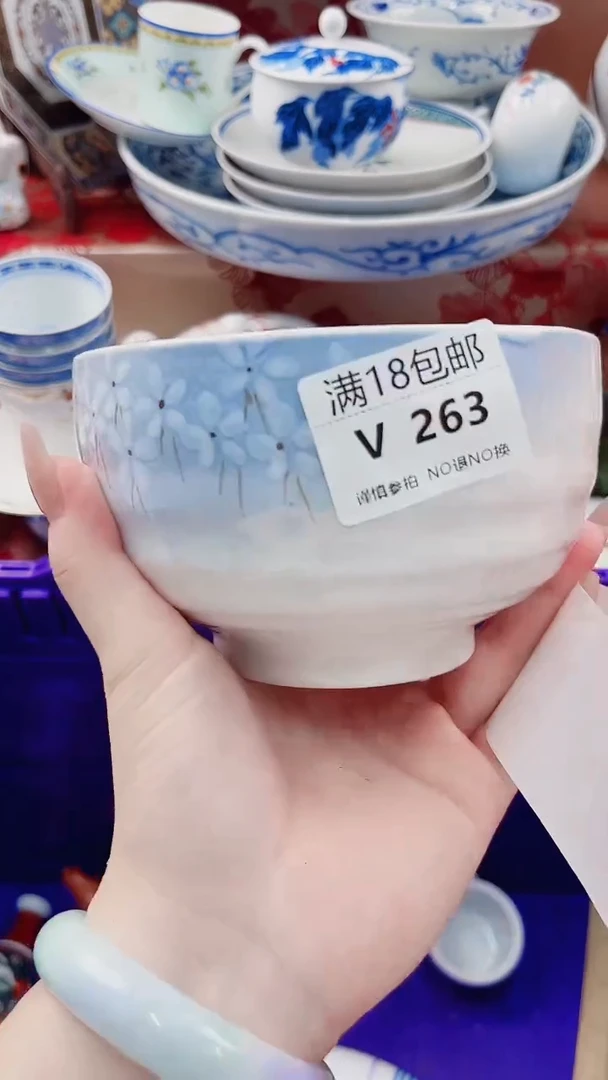 李*晓V263***************