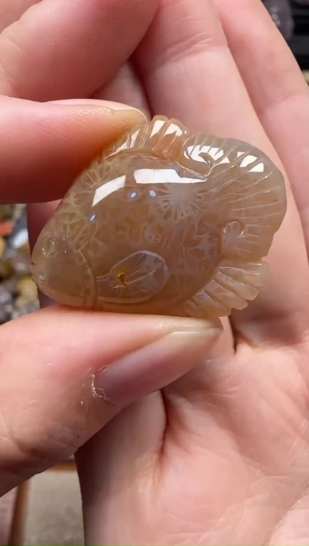 颈饰未镶嵌硅化珊瑚（珊瑚玉）642