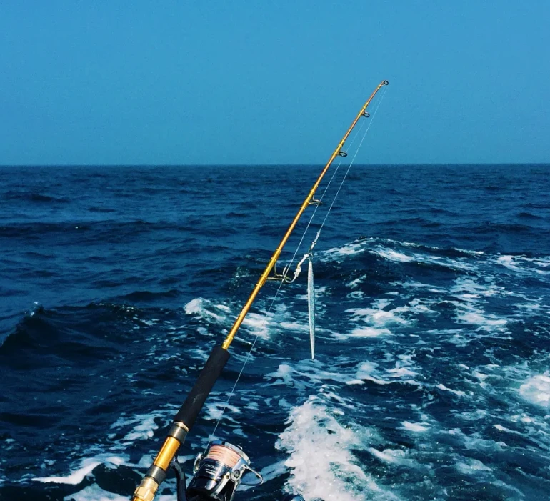 略哥海钓鱼直播间随机