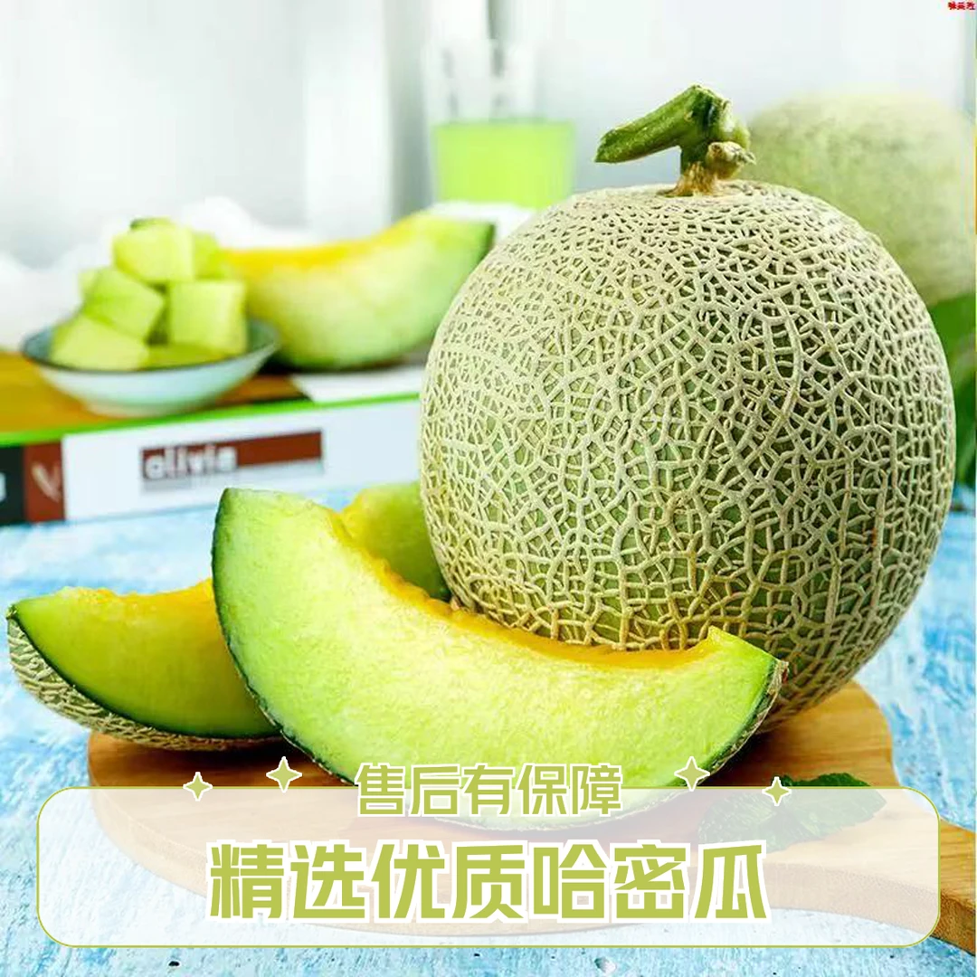 【东日农都鲜果达XX】网纹蜜瓜爆甜多汁