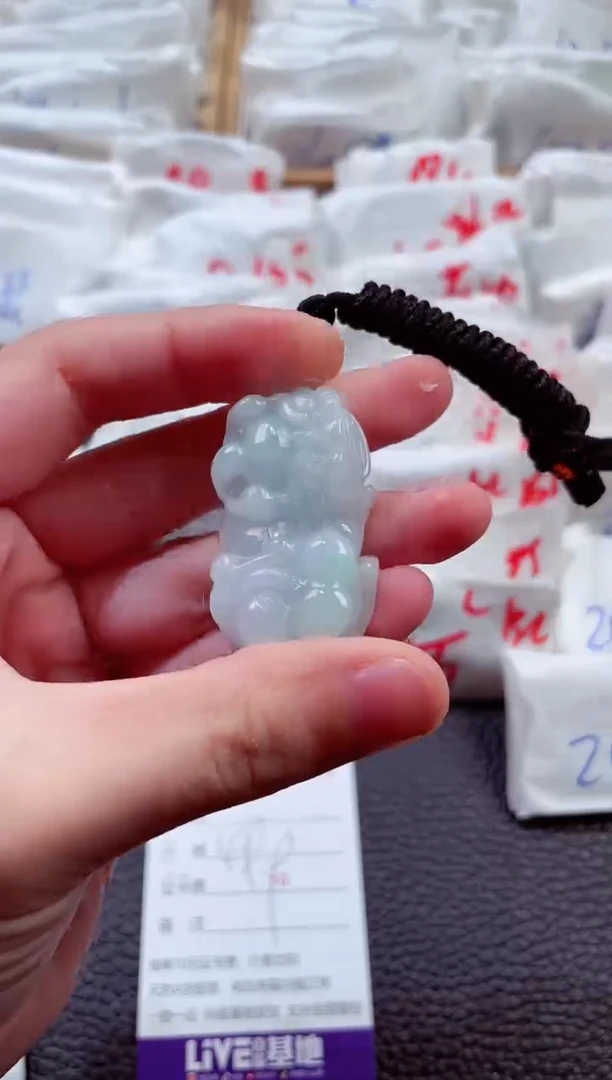 翡翠未镶嵌颈饰00003240多样性发其一