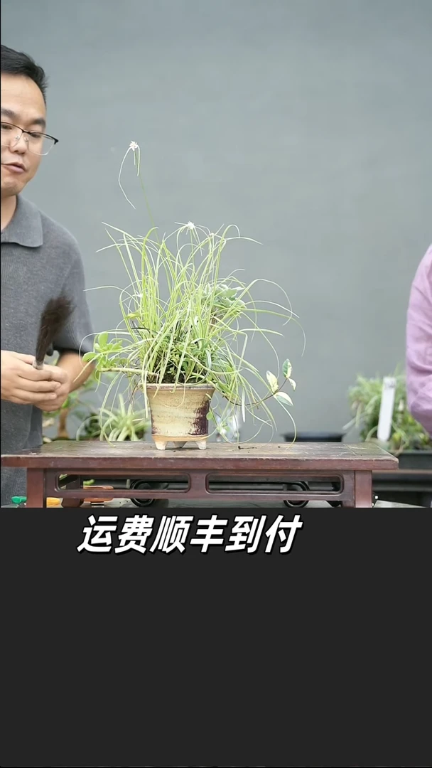 丁*124