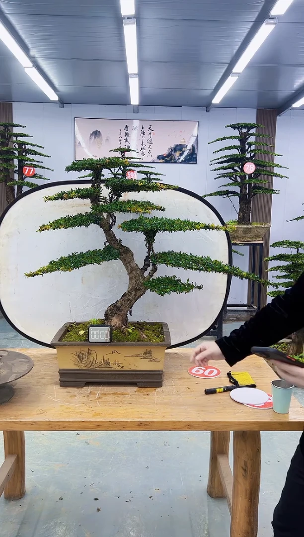以实际为准000000