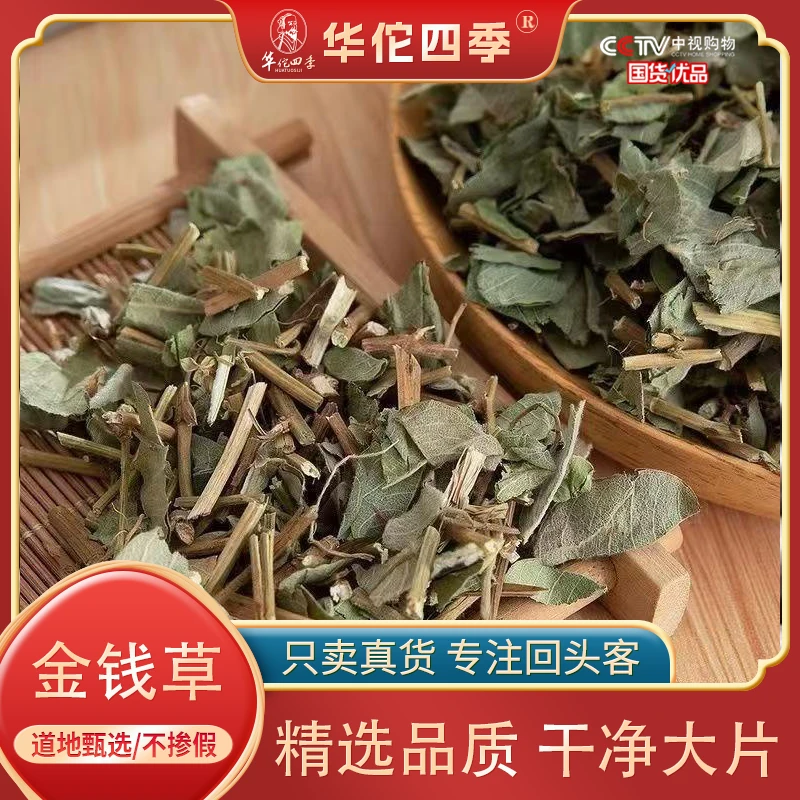 华佗四季金钱草 广西大叶金钱草 优选精致泡茶煮水正品保证无杂质