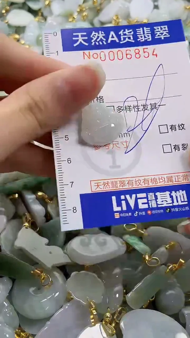 颈饰未镶嵌翡翠纯天然a货翡翠