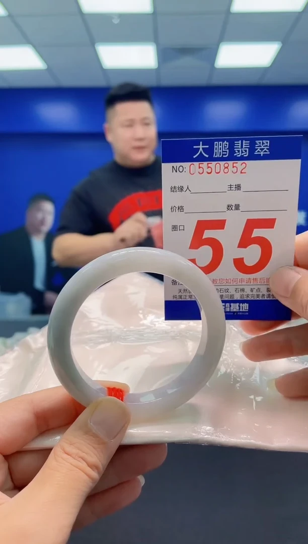 未镶嵌手镯翡翠AAAAAAAAA