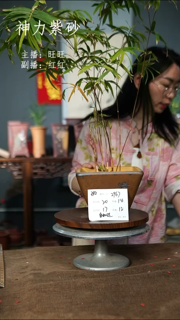 2967+瑕 色随机 紫砂花盆紫砂花盆