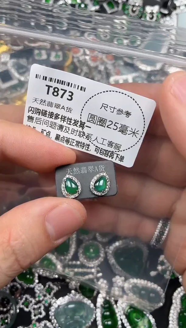 翡翠未镶嵌颈饰T873耳钉