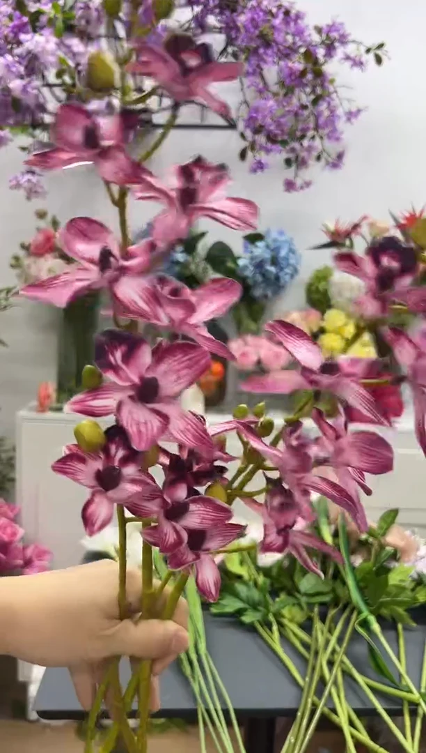 2枝酒红色手感千鸟兰