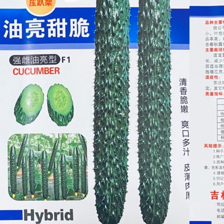 油量甜脆 水黄瓜 压趴架