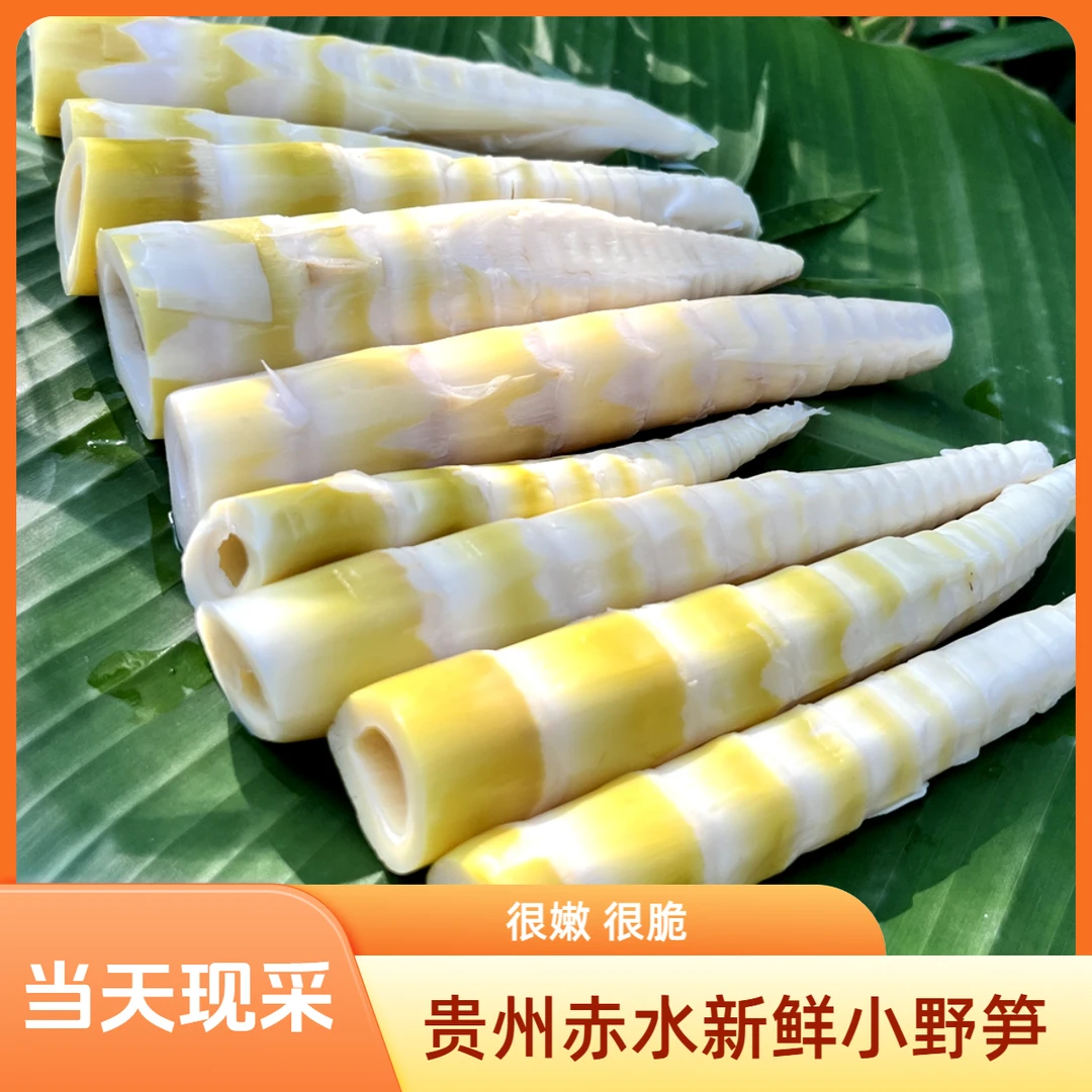 贵州赤水小竹笋新鲜去壳小竹笋笋尖脆嫩可用于火锅食材