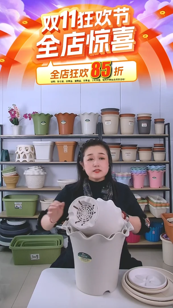 10套荷叶边5003，带托米白色