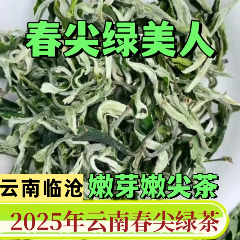 【春尖绿美人】2025年头采云南春尖精选绿茶罐罐茶春尖绿鲜甜春茶