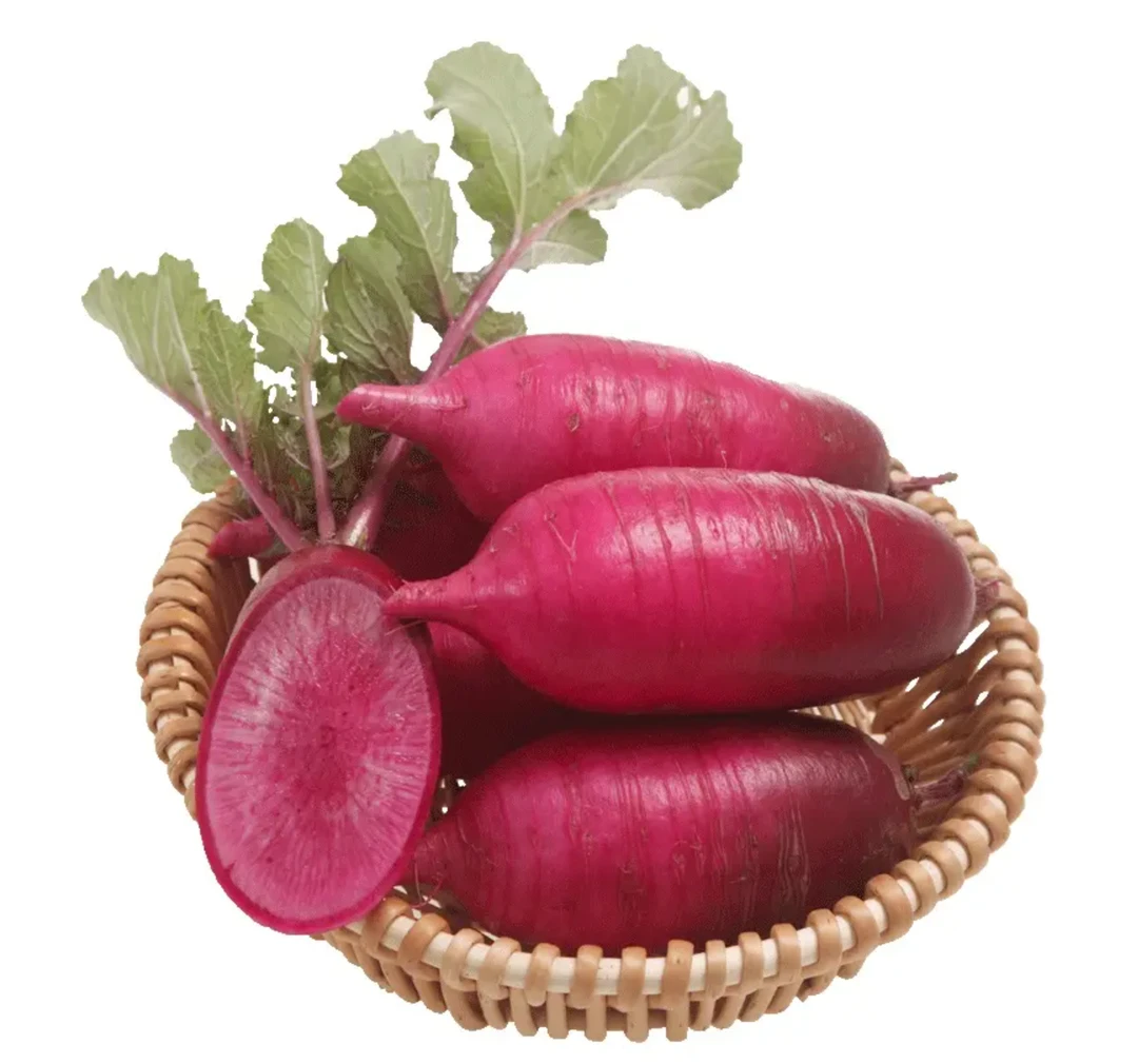 【拍2送1】凤梨萝卜种子 家庭种植