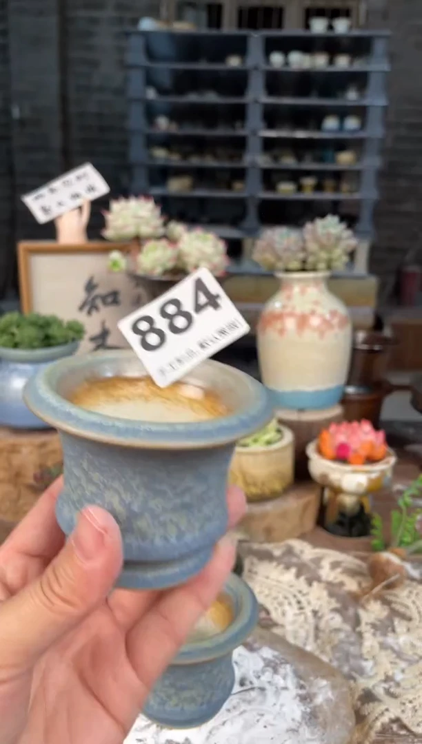 瓷片884知木小芳花盆直播编号