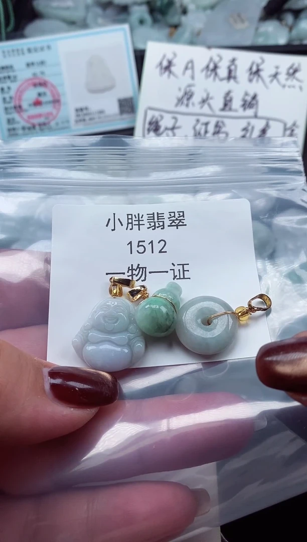 颈饰未镶嵌翡翠缅甸天然A货翡翠1512