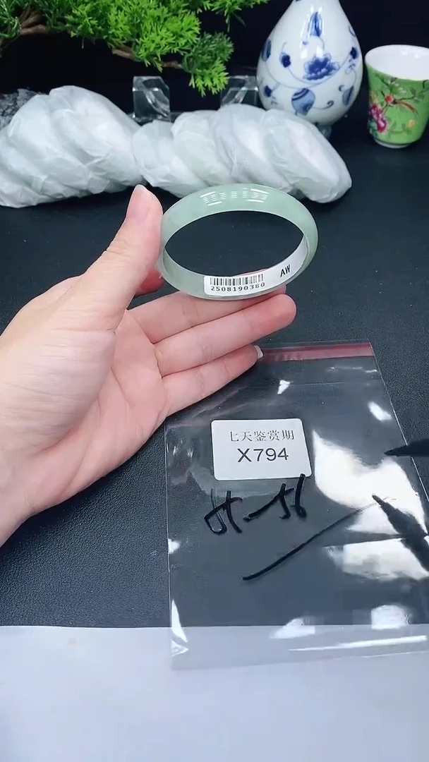 未镶嵌手镯翡翠794