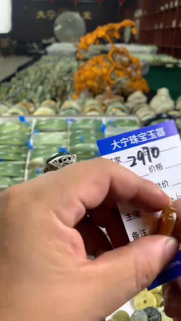 未镶嵌蛇纹石玉颈饰2970