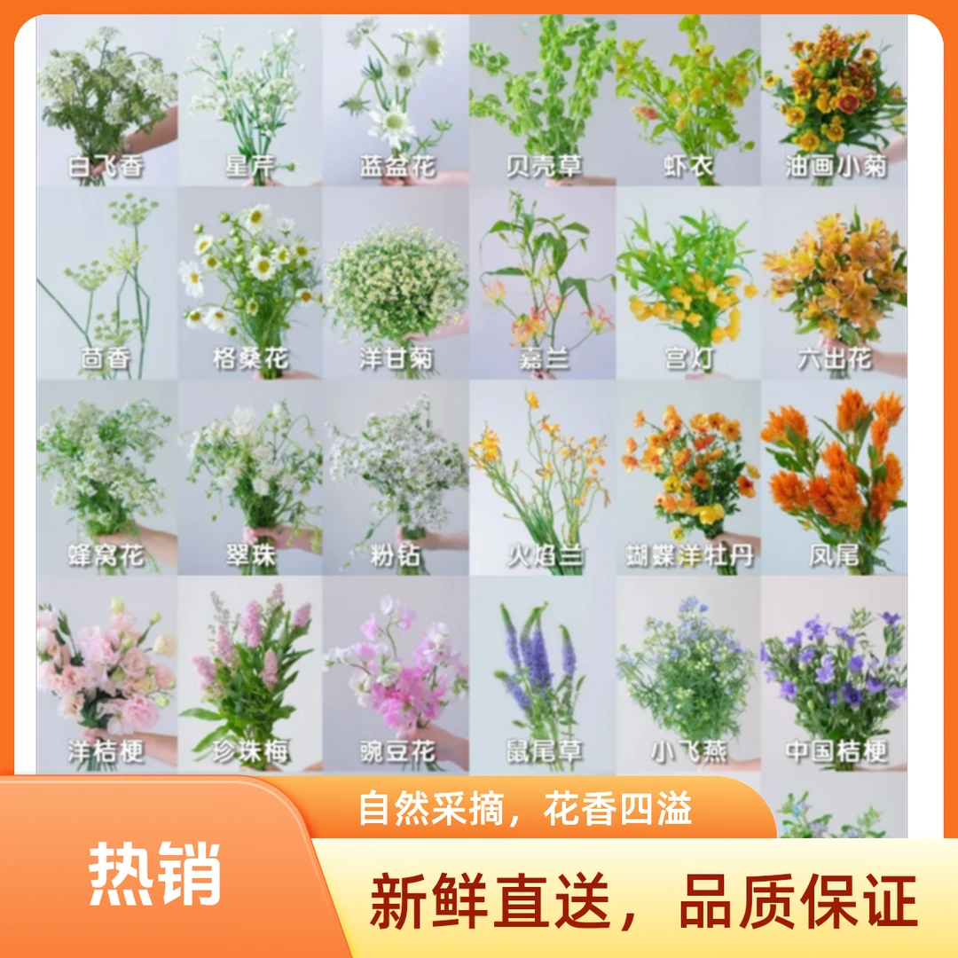 【惊喜草花小盒】随机草花买一送一到手2束超值体验惊喜感