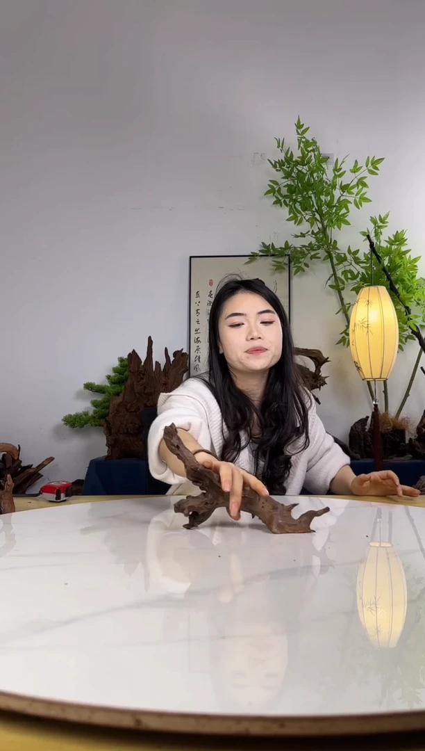 闲*拍沉木定向链接编号67