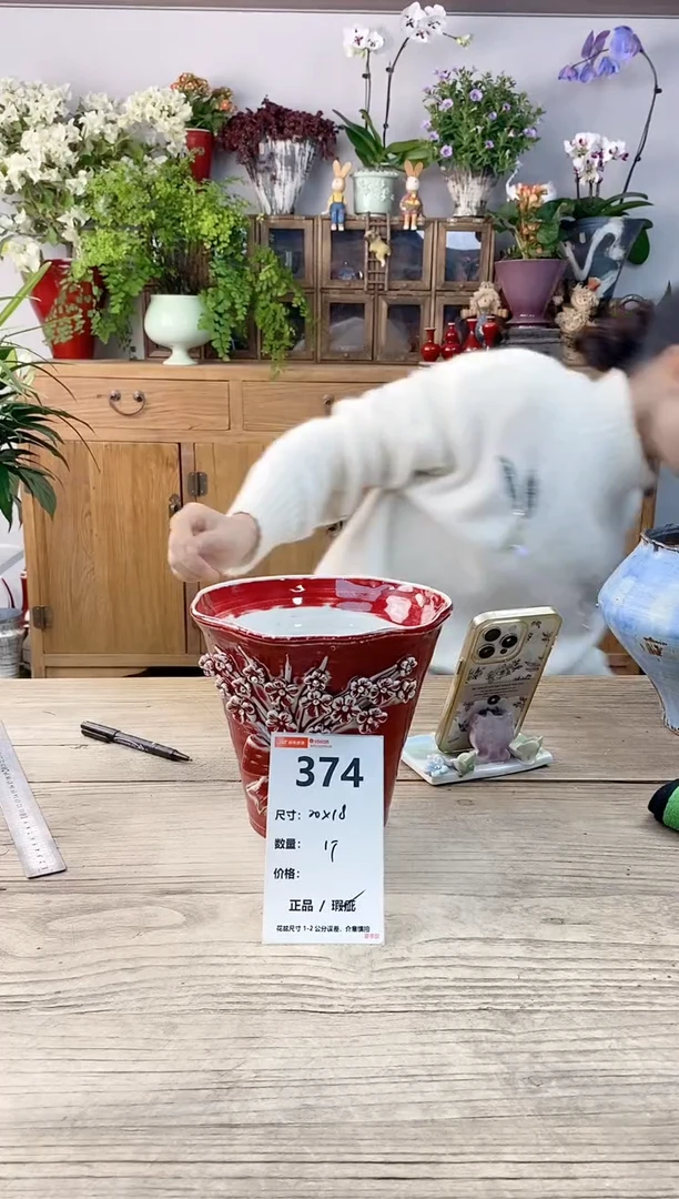 小玩子花盆直播编号374